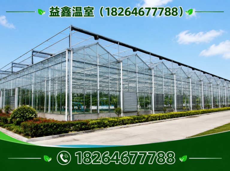 昌邑市玻璃温室展示图